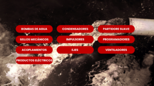 ¿QUIÉNES SOMOS (1)