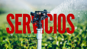 ¿QUIÉNES SOMOS (2)